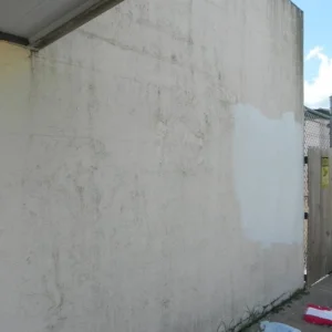 Vidor Animal Shelter Mural