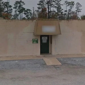 Vidor Animal Shelter Mural