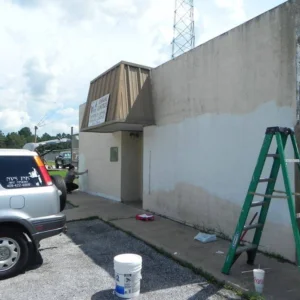 Vidor Animal Shelter Mural