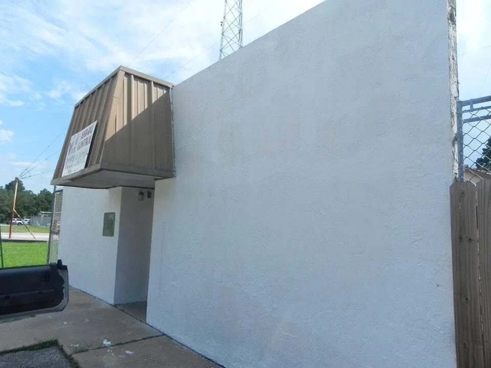 Vidor Animal Shelter Mural