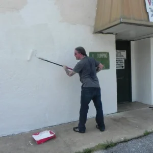 Vidor Animal Shelter Mural