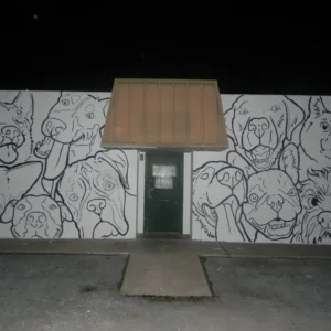 Vidor Animal Shelter Mural