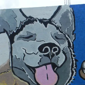 Vidor Animal Shelter Mural
