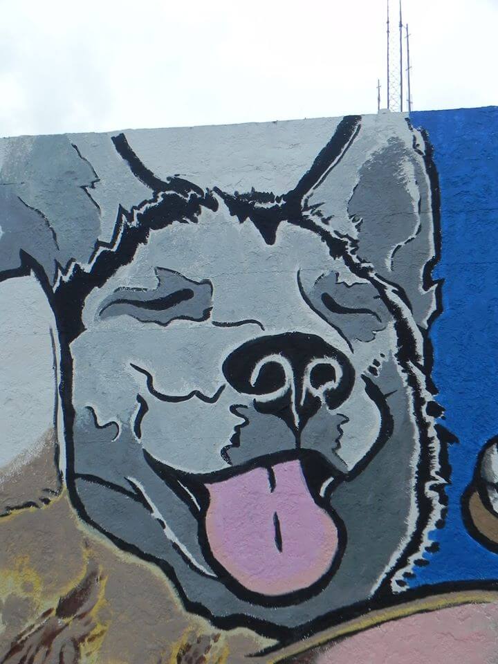 Vidor Animal Shelter Mural