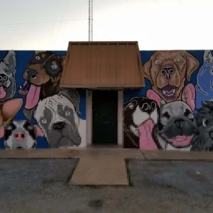 Vidor Animal Shelter Mural