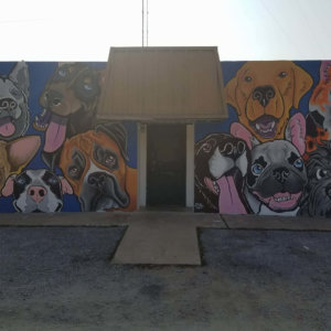Vidor Animal Shelter Mural