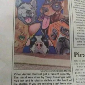 Vidor Animal Shelter Mural