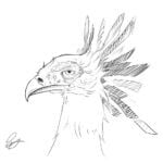 Secretary Bird Lineart
